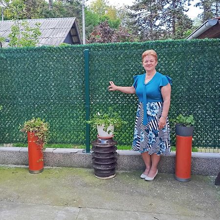 Milica Apartmani Vrdnik Ngoại thất bức ảnh