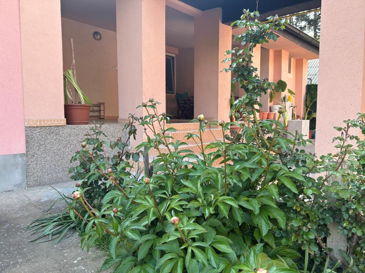 Milica Apartmani Vrdnik Ngoại thất bức ảnh