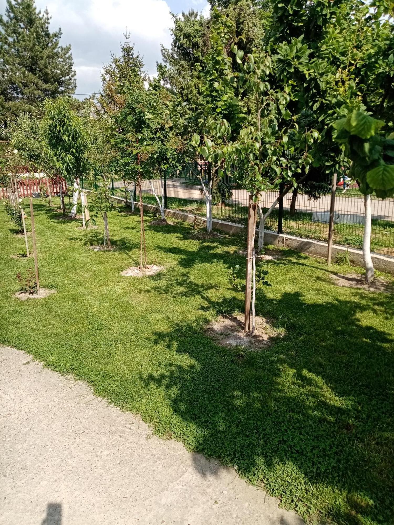 Milica Apartmani Vrdnik Ngoại thất bức ảnh