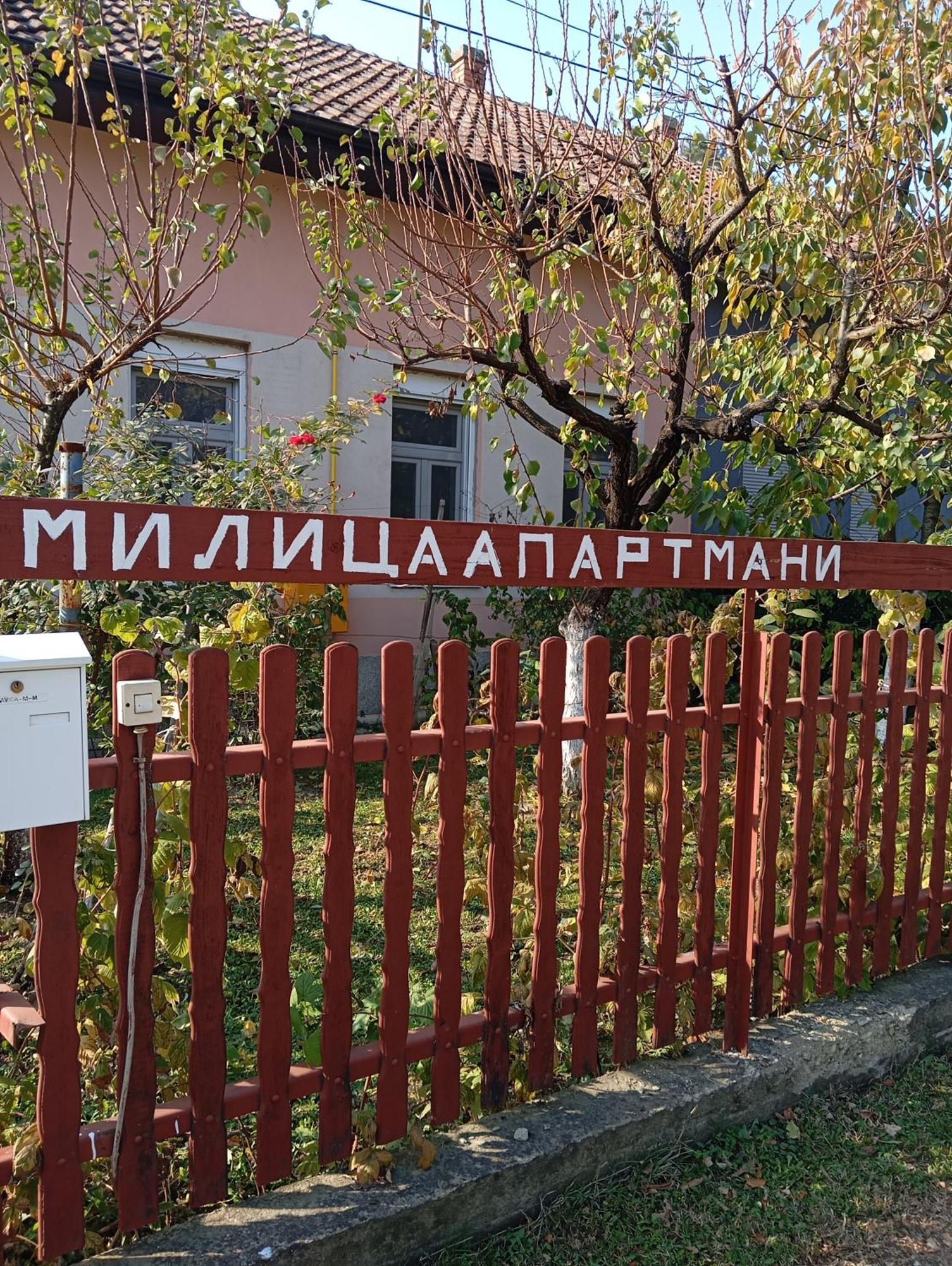 Milica Apartmani Vrdnik Ngoại thất bức ảnh