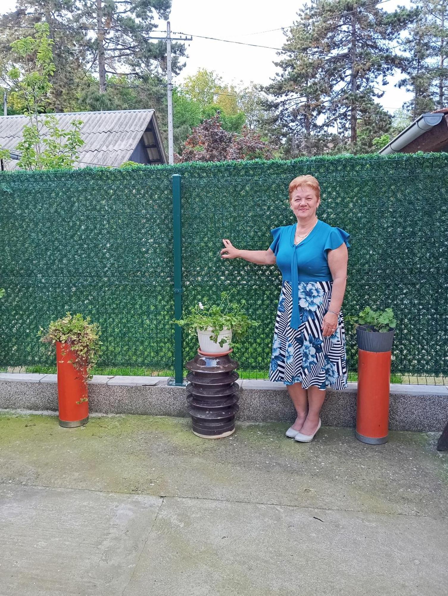 Milica Apartmani Vrdnik Ngoại thất bức ảnh